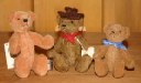 Brooklea-Bears-AUS